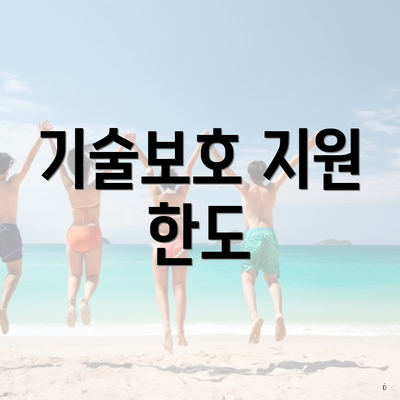 기술보호 지원 한도