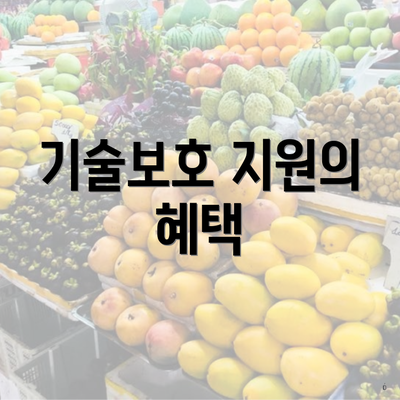 기술보호 지원의 혜택