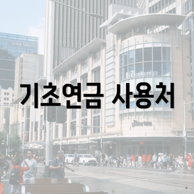 기초연금 사용처