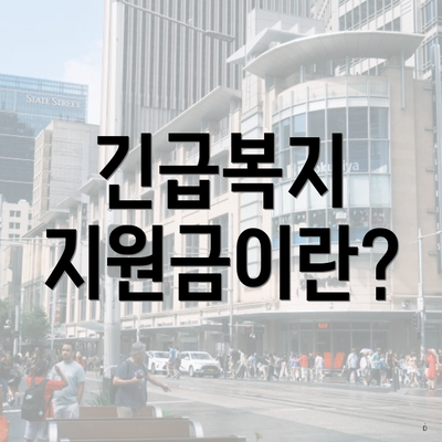 긴급복지 지원금이란?