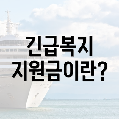 긴급복지 지원금이란?