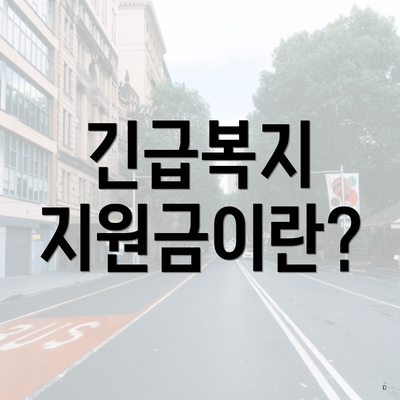 긴급복지 지원금이란?