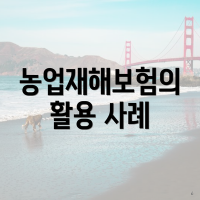 농업재해보험의 활용 사례