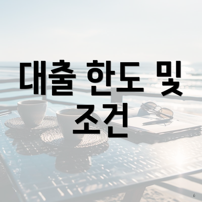 대출 한도 및 조건