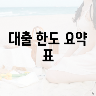 대출 한도 요약 표