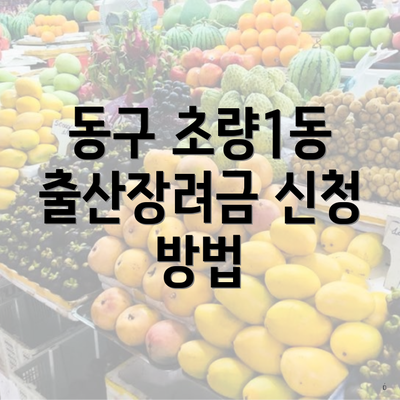 동구 초량1동 출산장려금 신청 방법
