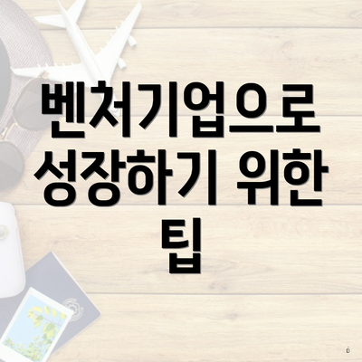 벤처기업으로 성장하기 위한 팁