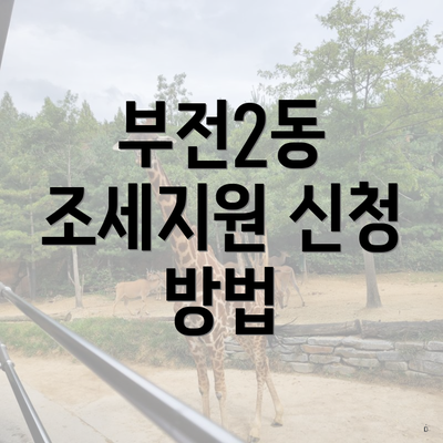 부전2동 조세지원 신청 방법