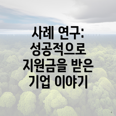 사례 연구: 성공적으로 지원금을 받은 기업 이야기