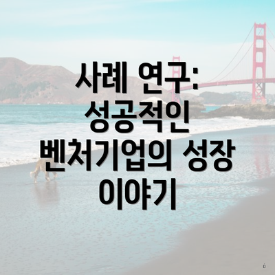 사례 연구: 성공적인 벤처기업의 성장 이야기