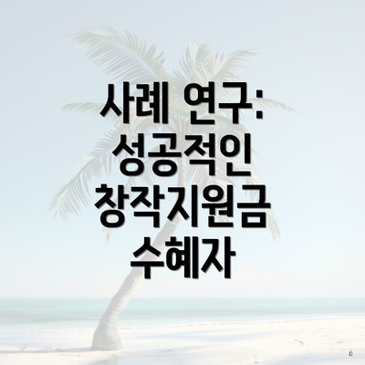 사례 연구: 성공적인 창작지원금 수혜자