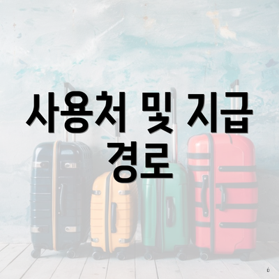 사용처 및 지급 경로