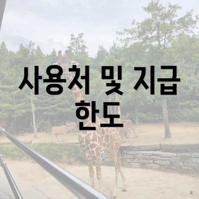 사용처 및 지급 한도