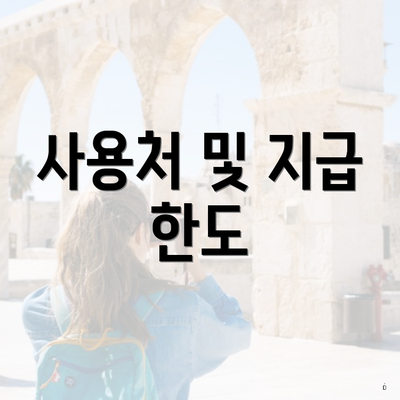 사용처 및 지급 한도