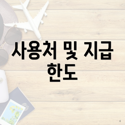 사용처 및 지급 한도