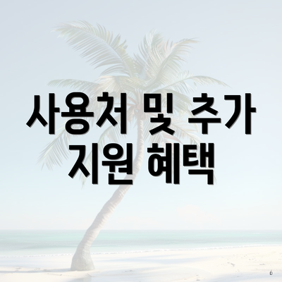 사용처 및 추가 지원 혜택