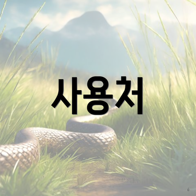 사용처