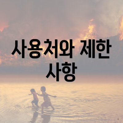 사용처와 제한 사항