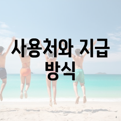 사용처와 지급 방식