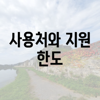 사용처와 지원 한도
