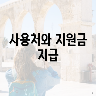 사용처와 지원금 지급