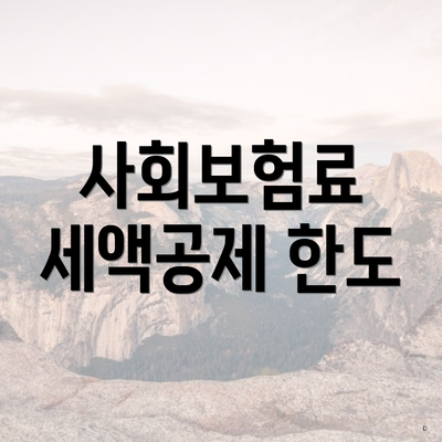 사회보험료 세액공제 한도