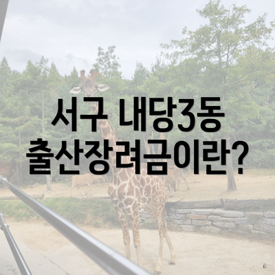 서구 내당3동 출산장려금이란?