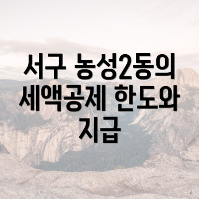 서구 농성2동의 세액공제 한도와 지급