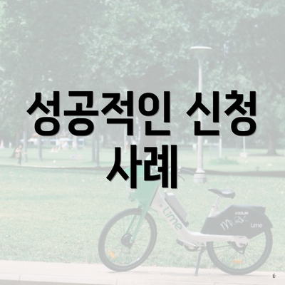 성공적인 신청 사례