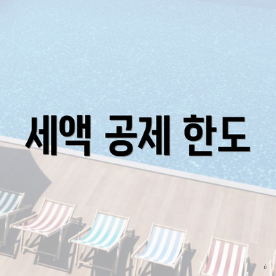 세액 공제 한도