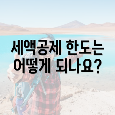 세액공제 한도는 어떻게 되나요?