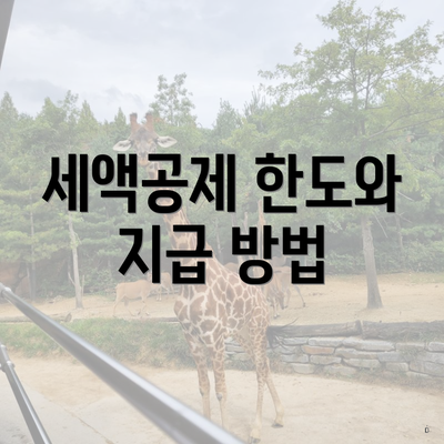 세액공제 한도와 지급 방법