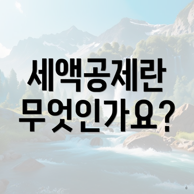 세액공제란 무엇인가요?