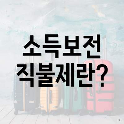 소득보전 직불제란?