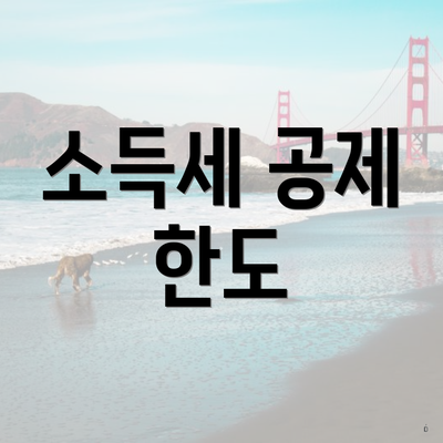 소득세 공제 한도