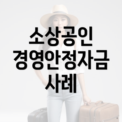 소상공인 경영안정자금 사례