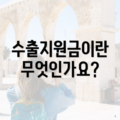 수출지원금이란 무엇인가요?