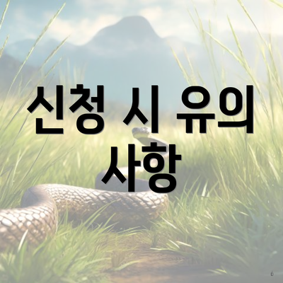 신청 시 유의 사항