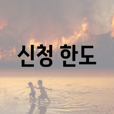 신청 한도