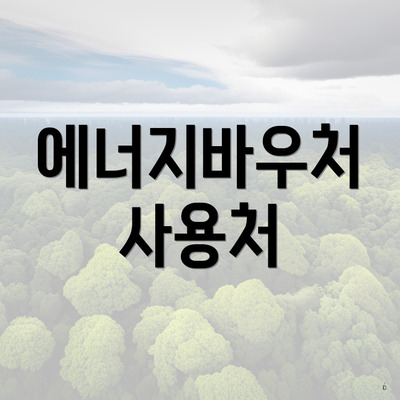 에너지바우처 사용처