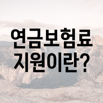 연금보험료 지원이란?
