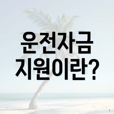 운전자금 지원이란?