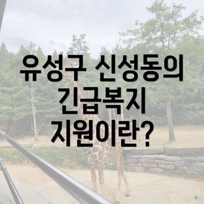 유성구 신성동의 긴급복지 지원이란?