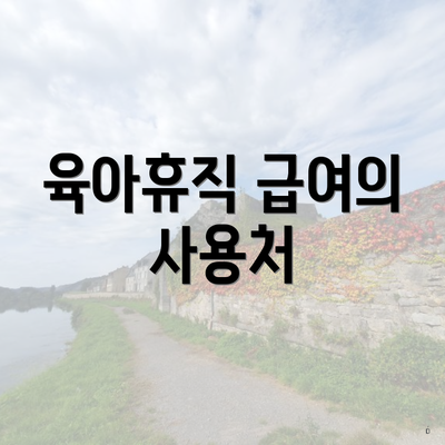 육아휴직 급여의 사용처