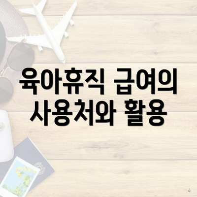 육아휴직 급여의 사용처와 활용