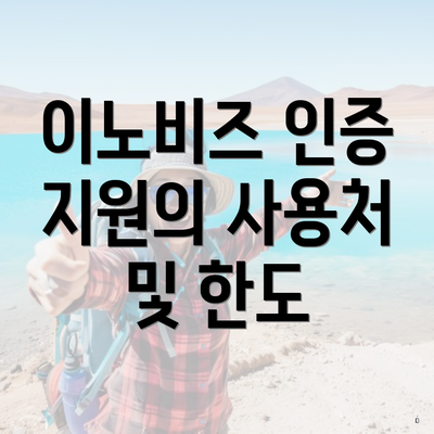 이노비즈 인증 지원의 사용처 및 한도