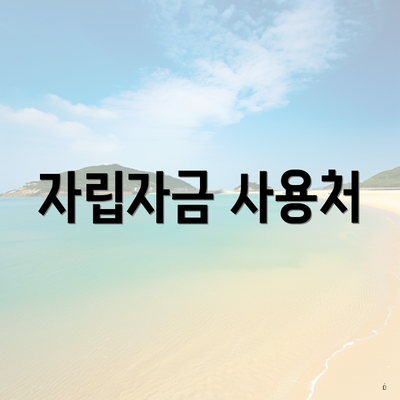 자립자금 사용처