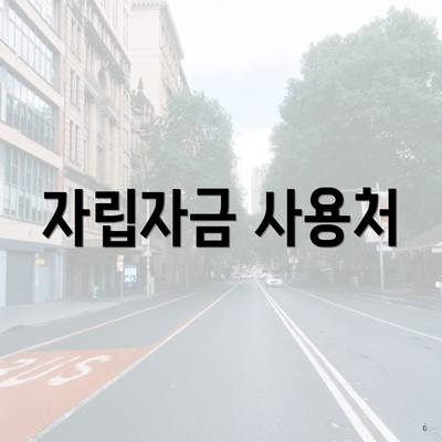 자립자금 사용처