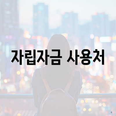 자립자금 사용처