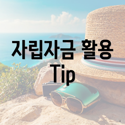 자립자금 활용 Tip